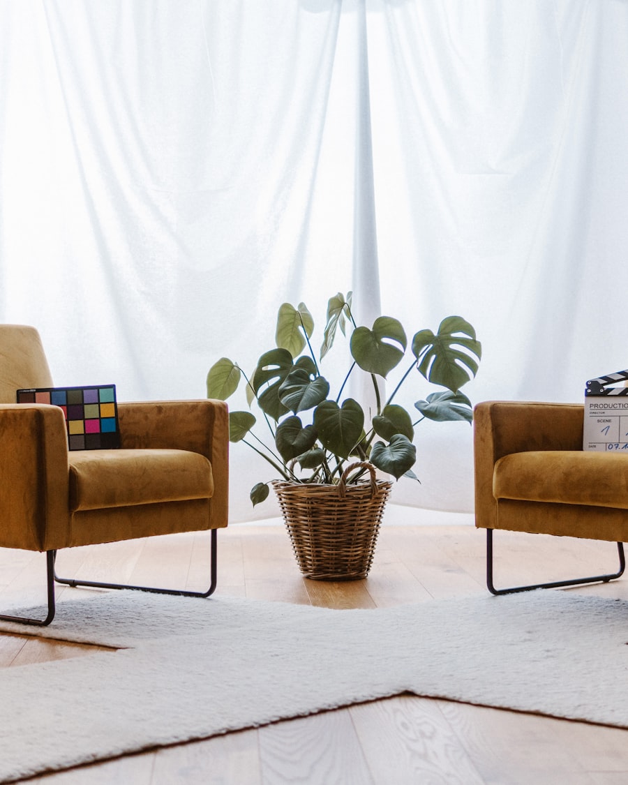 Sala de terapia con dos sillones y una planta