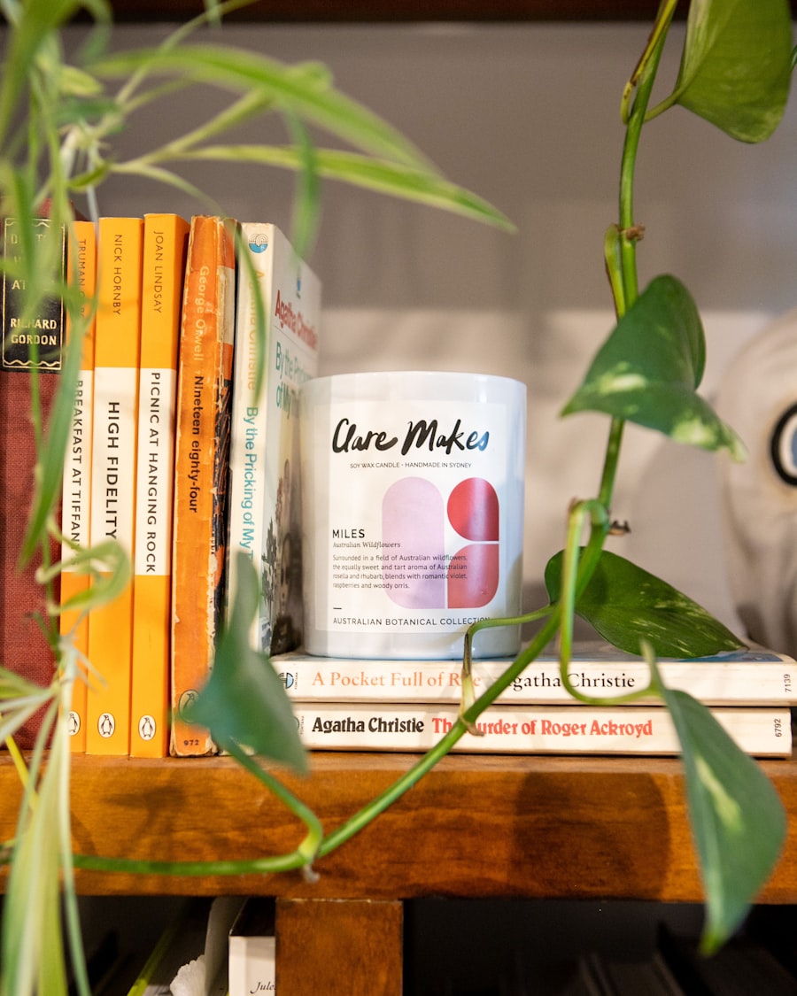 Estantería con libros, una planta y una vela